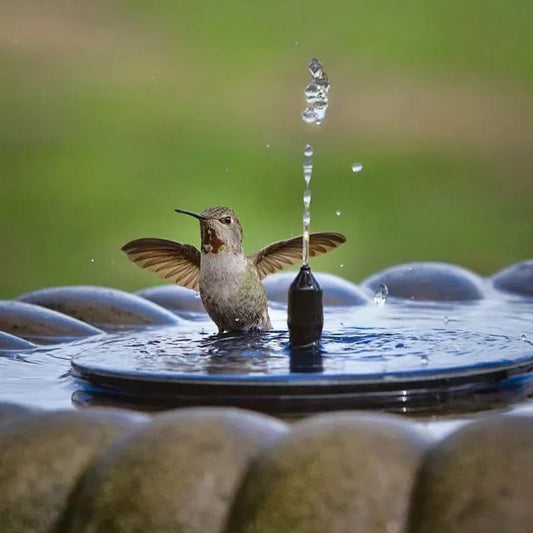 ✨Solar-powered floating fountain, suitable for miniature garden sprinklers, rock gardens, and outdoor ponds✨