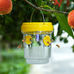🐝☀️ מלכודת צרעות סולארית לפטיו ולגנים 🔋🌿 – יעילה, נטענת ועמידה בפני מזג אוויר – ללא כימיקלים, מכסה עד 500 מ"ר!